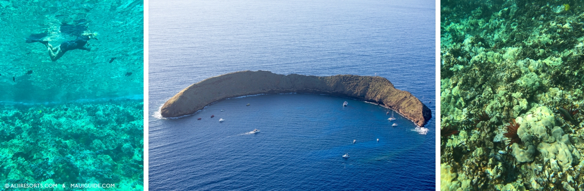 Molokini Maui