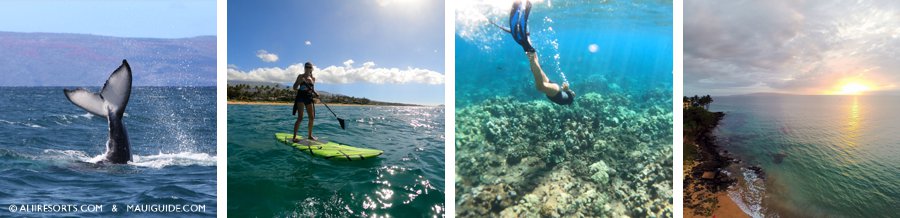 Kihei Ocean activities