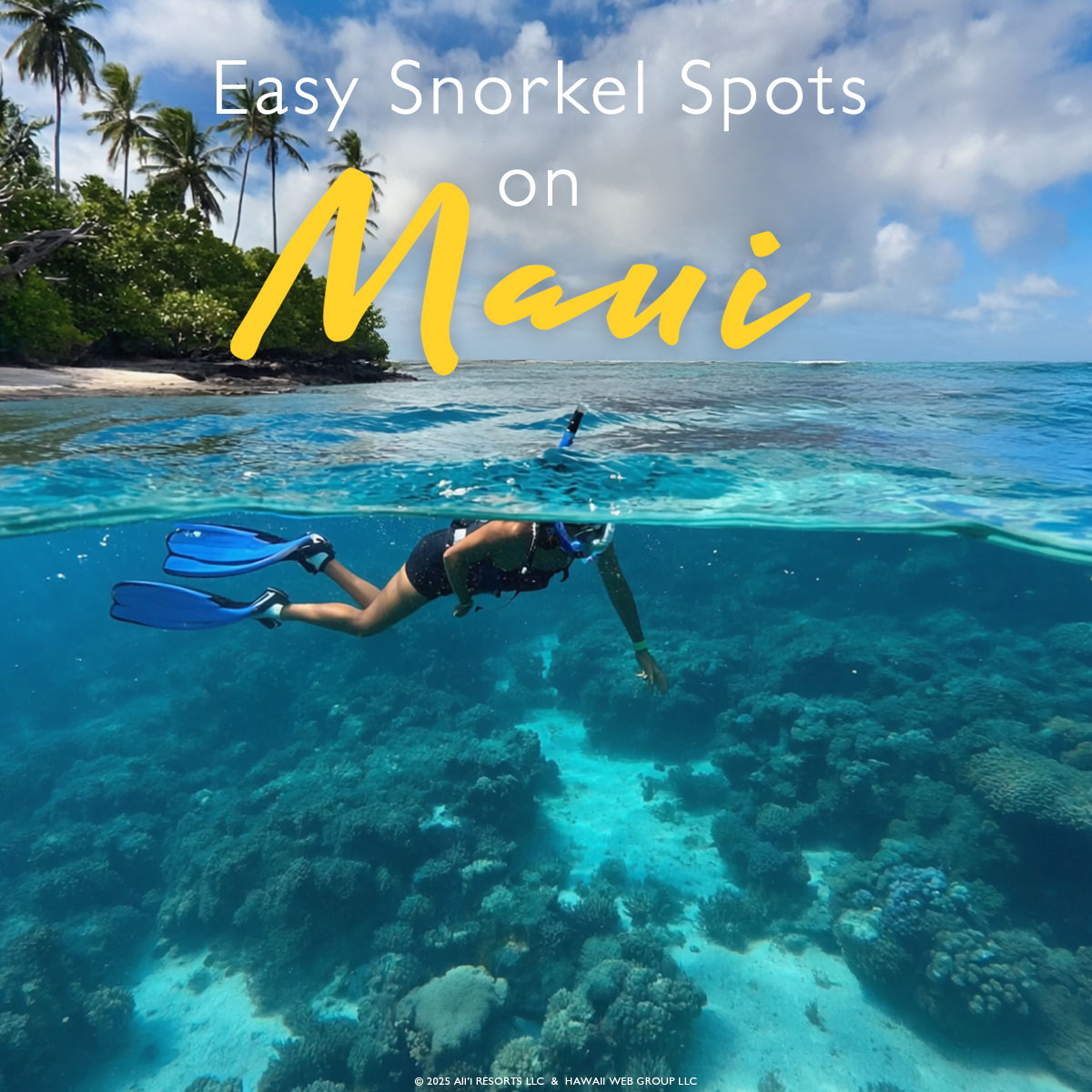 Easy snorkel spots in Maui