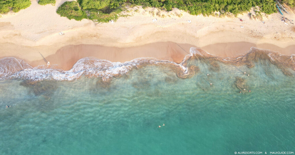 Maui beach wedding