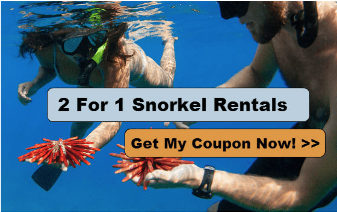 Maui luau discount coupons