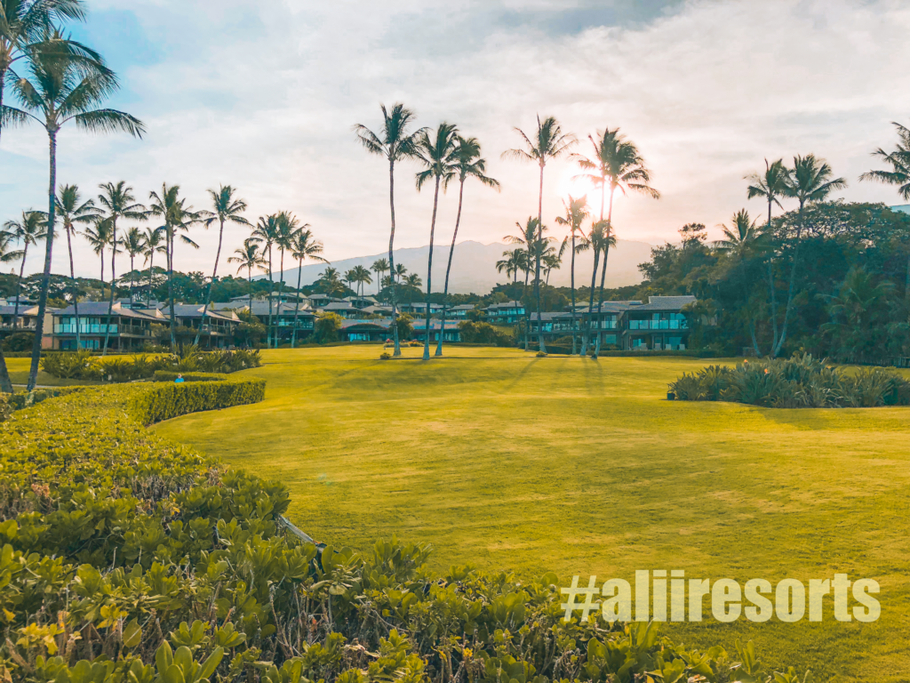 aliiresorts-wailea-elua-village-2