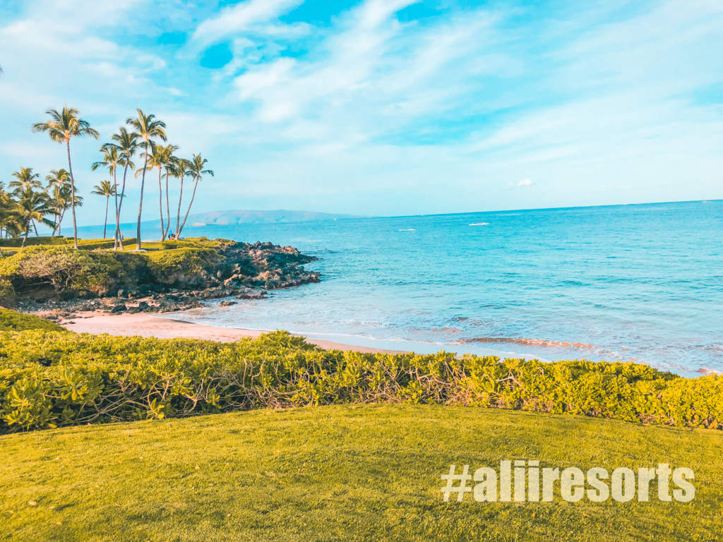 aliiresorts-wailea-elua-village-3