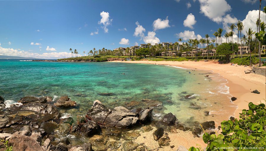 Kapalua Festival