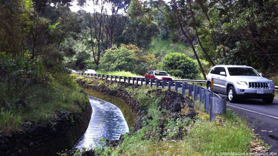 Maui traffic