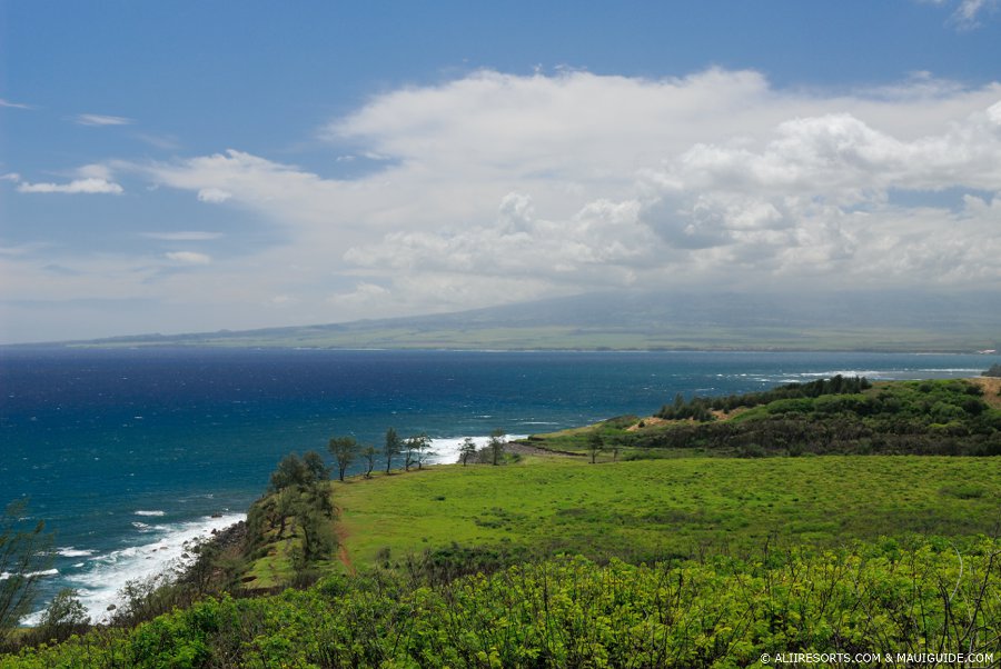 Waihee Coastal Dunes