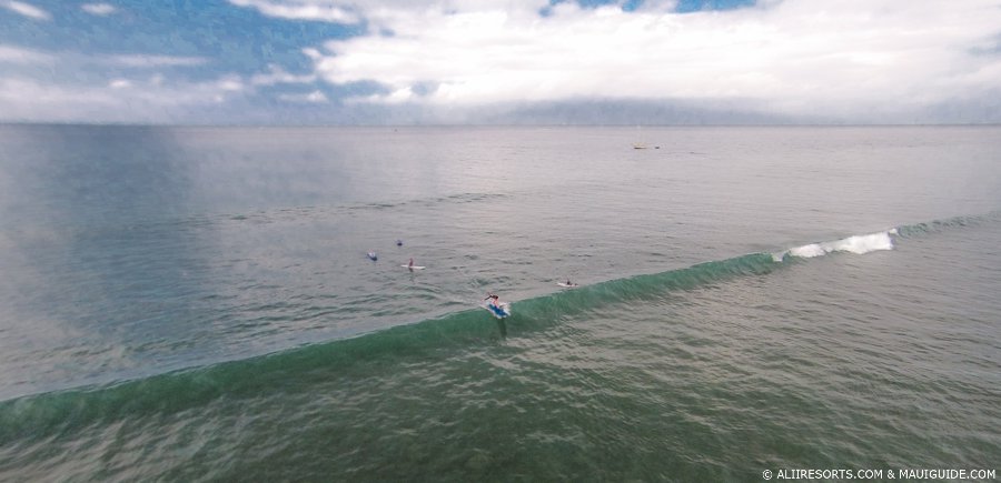 summer swells on Maui