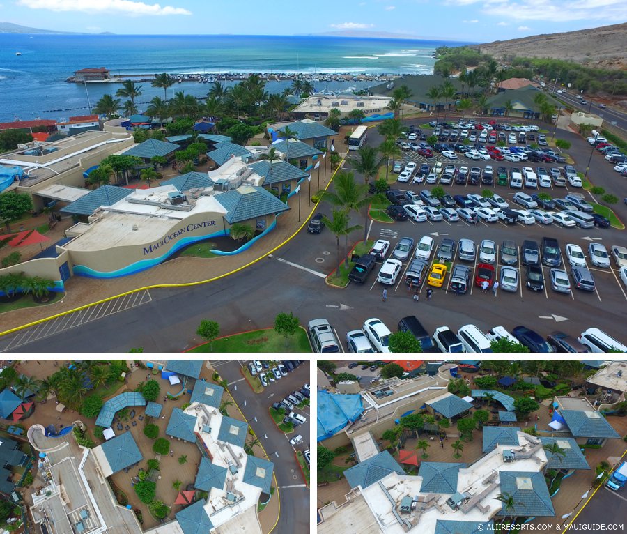 Ocean Center Maui