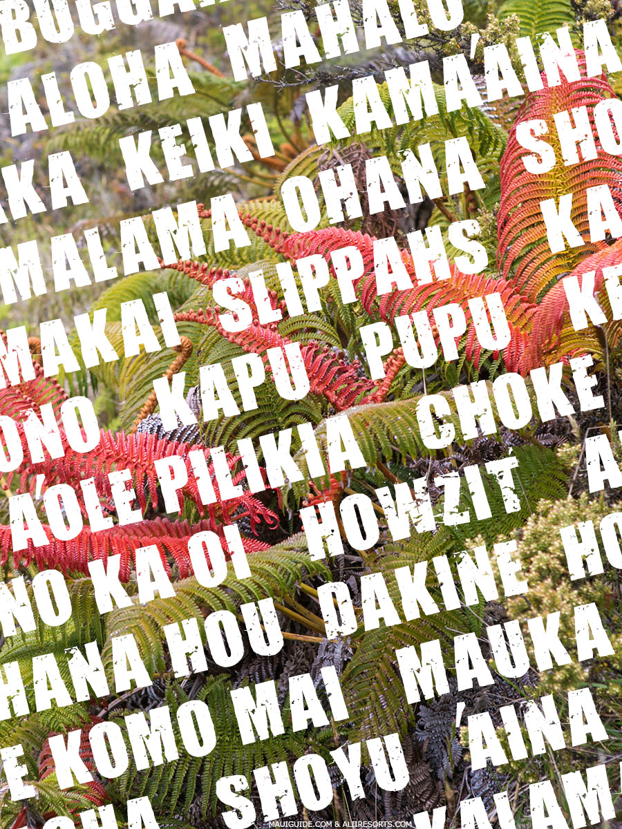 Hawaiian Words