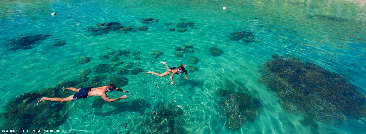 snorkeling buddies