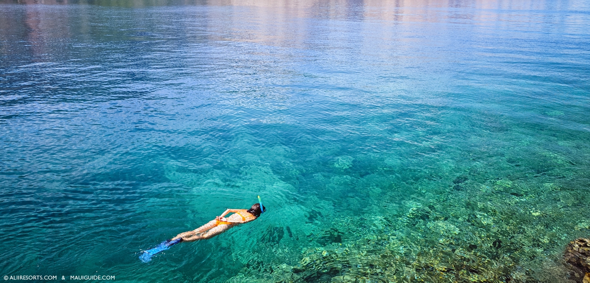where to snorkel Maui