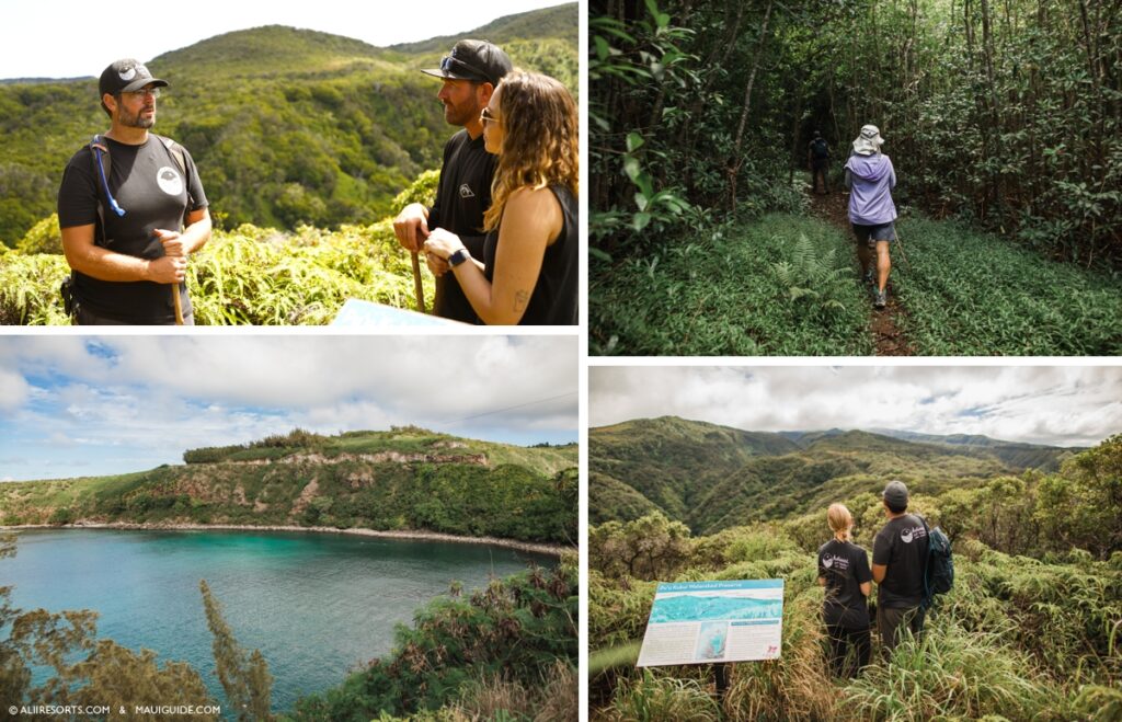 Helewai Tours