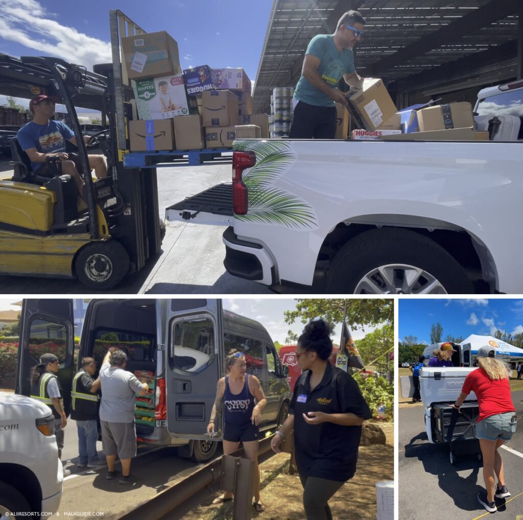 maui recovery